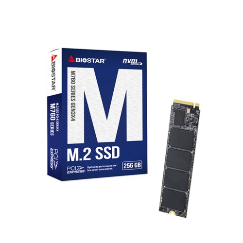 Biostar M760 256GB M.2 NVMe SSD