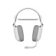 Corsair HS80 RGB WIRELESS Premium Gaming Headset with Spatial Audio