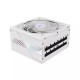 Gigabyte AORUS ELITE 1000W 80 PLUS Platinum Modular ATX Power Supply (ICE)