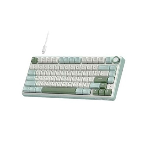 RK ROYAL KLUDGE R75 Wired Mechanical Keyboard (White-Green)