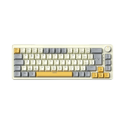 Zifriend AG68 67 Keys Hot-Swappable Rainbow Bcaklit Gasket Structure Gaming Mechanical Keyboard