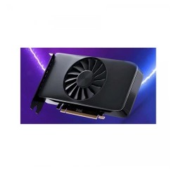 Intel Arc A-Series A310 4GB Graphics Card 