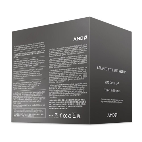 AMD Ryzen 5 8400F AM5 Processor 