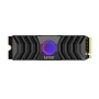 Lexar Professional NM1090 1TB M.2 NVMe PCIe Gen 5 SSD with Heatsink