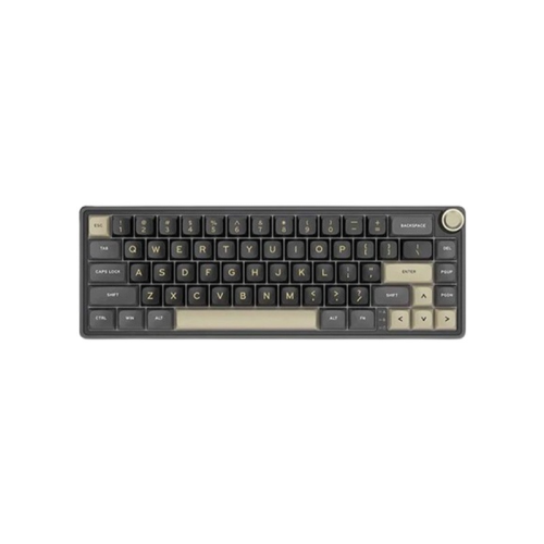Royal Kludge RK R65 RGB Hotswappable Mechanical Keyboard